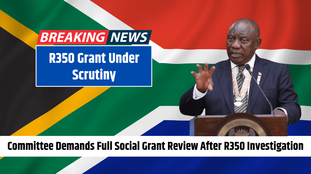 R350 Grant Under Scrutiny Committee Demands Full Social Grant Review After R350 Investigation