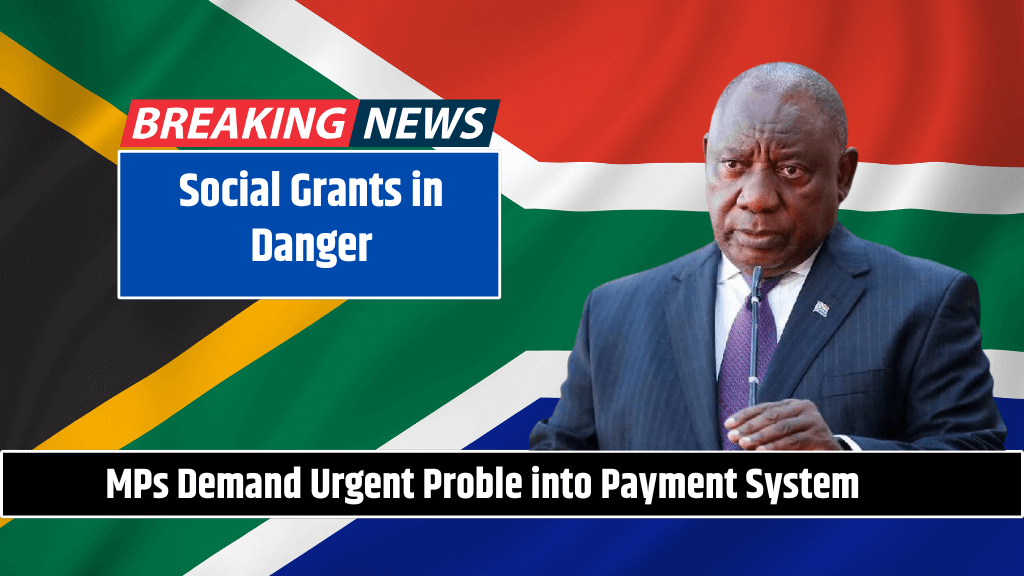 Social Grants in Danger MPs Demand Urgent Proble into Payment System